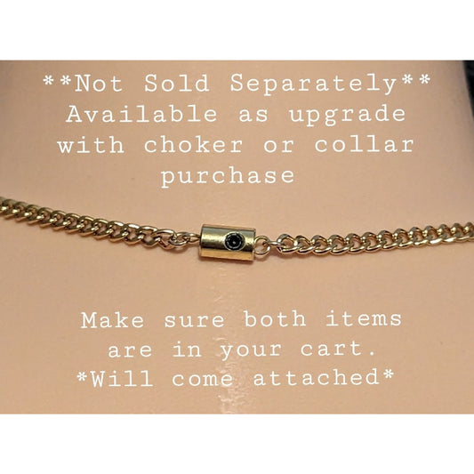 Not Sold Separately **Available only w/ purchase of choker/necklace** Gold Locking Clasp Hex Lock